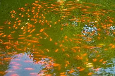 《街霸6》联动名作《恐怖惊魂夜》上线 重温经典